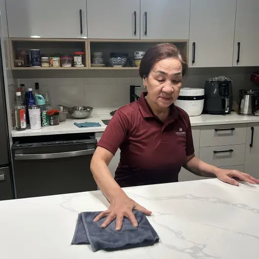 Move-Out Cleaning